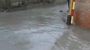 Из-за дождя и канализационных сбросов на Западном затопило улицу