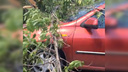 Первая жертва штормового ветра: на Зубчаниновском шоссе дерево упало на автомобиль