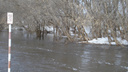 Приволжское УГМС: уровень воды в Волге у Тольятти — самый высокий за историю наблюдений