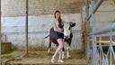 Узнать срок беременности коровы и подоить козу: как проходят будни студентов волгоградского аграрного университета