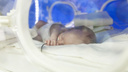 Малышка, родившаяся в столовой на Южном Урале, находится в тяжёлом состоянии