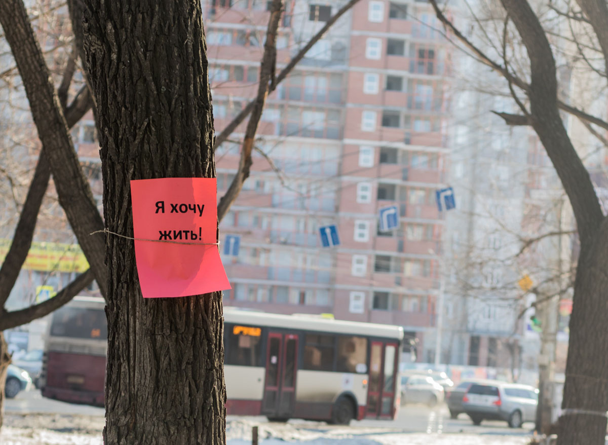 Листовки и обращения в администрацию не помогли – деревья все-таки выкорчевали Листовки и обращения в администрацию не помогли – деревья все-таки выкорчевали