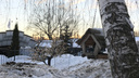 В ноябре в Ярославле ударят первые морозы