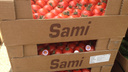 В Самаре уничтожили 344 кг турецких томатов