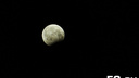 «Это чудесно»: пермяки увидели, как часть Луны погрузилась в тень Земли