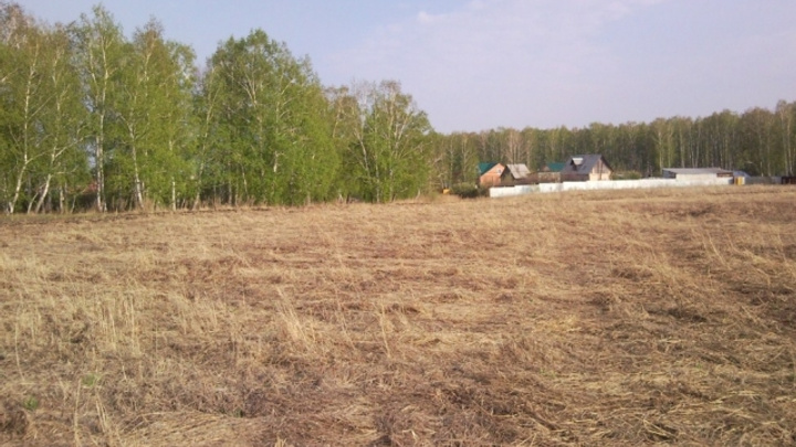 Многодетные семьи Челябинска рискуют остаться без обещанной бесплатной земли в пригороде