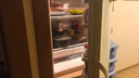 Москвич сел в тюрьму за проданный холодильник в съемной квартире