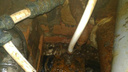 Вода и канализация вперемешку: в Самаре коммунальные службы нашли несколько незаконных врезок