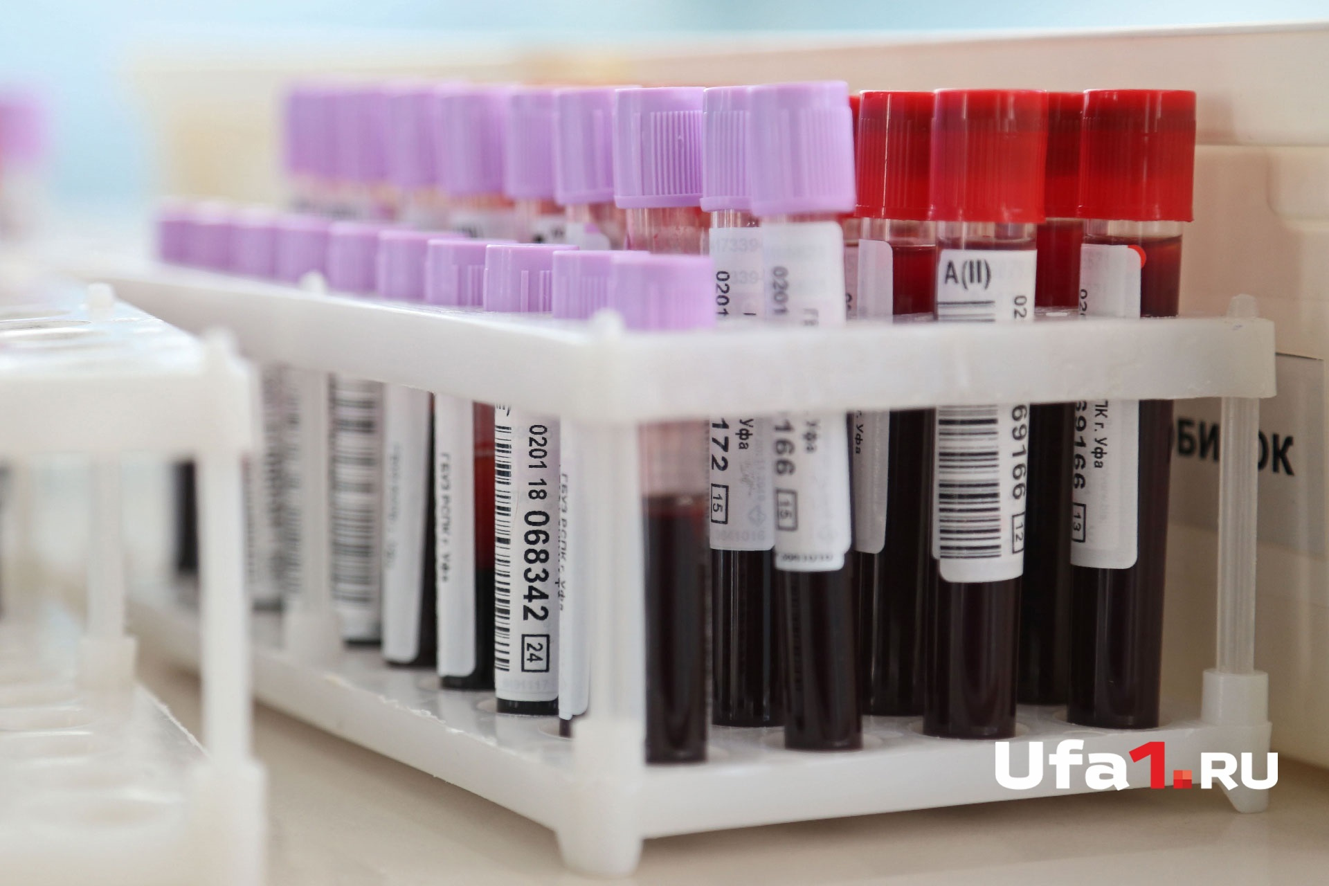 Общий анализ крови и кровь на биохимию сдаются бесплатно