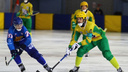 «Водник» разгромил кировскую «Родину» на чемпионате России по хоккею с мячом