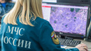 В Самарской области зафиксировали случаи гибели кур от птичьего гриппа