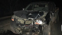 Смял капот: в Самарской области водитель иномарки насмерть сбил взрослого лося