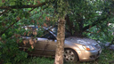 Природа наказала автомобилиста за парковку на газоне в центре Ярославля
