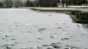 «Рыба же промерзнет»: в Самаре обмельчал пруд в парке Металлургов