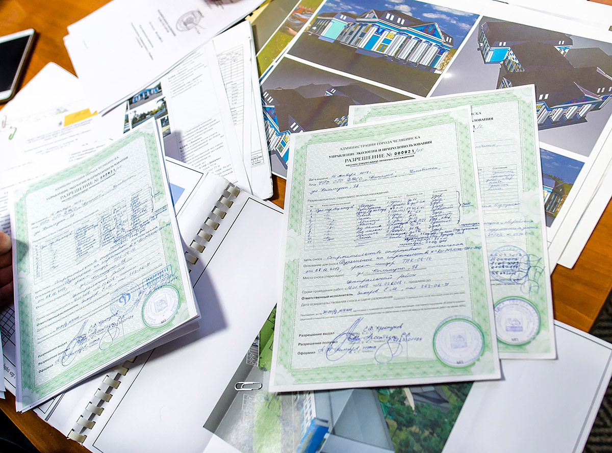 Разрешения от экологов на вырубку сухостоя у «Динамо» есть Разрешения от экологов на вырубку сухостоя у «Динамо» есть