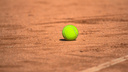 Теннисистки из Самарской области вступили в борьбу за 733 тысячи долларов