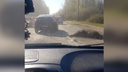 Сегодня утром в Ярославской области маршрутка с пассажирами врезалась в лося
