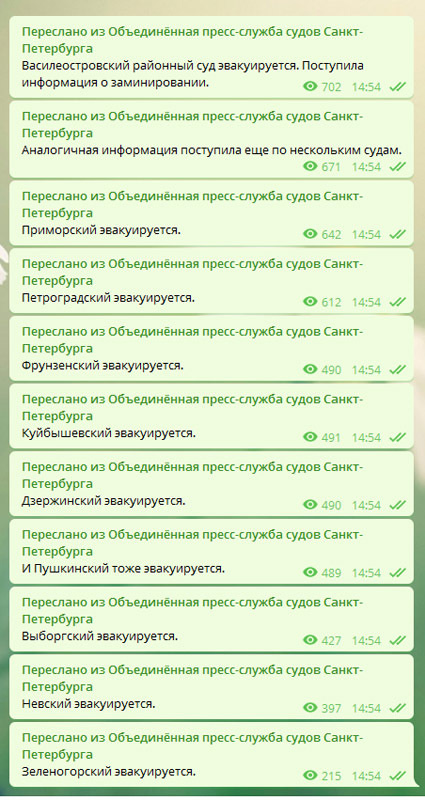 скриншот/телеграм-канал Объединенная пресс-служба судов Санкт-Петербурга