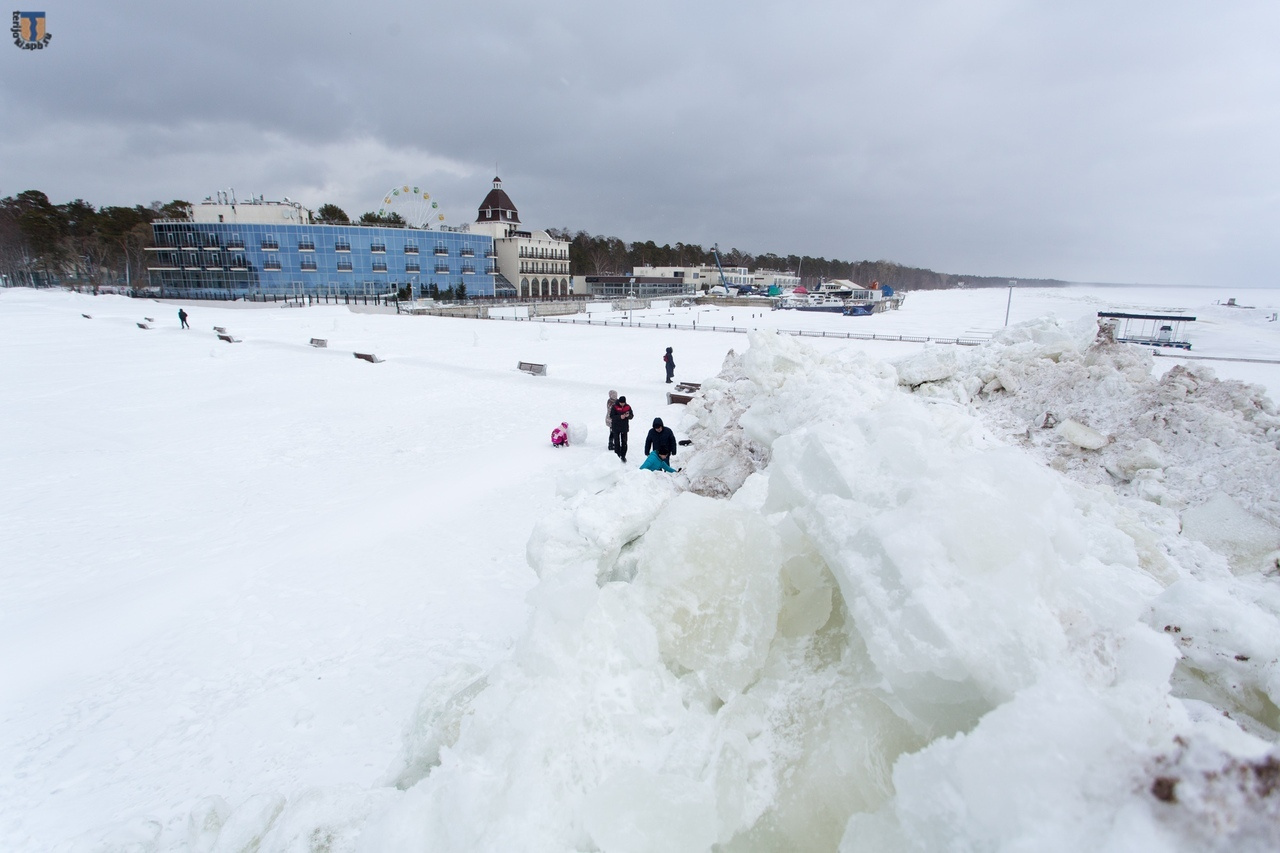 фото предоставлено Александром Браво/<a href="https://terijoki.spb.ru/">terijoki.spb.ru</a>