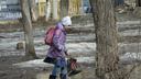 Теплая дождливая погода сохраняется в Архангельской области