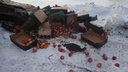 Ярославские таможенники уничтожили больше полтонны польских яблок