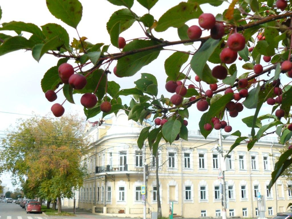 Пермяки смогут узнать тайны старинного особняка Пермяки смогут узнать тайны старинного особняка