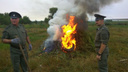 Казачьи дружинники уничтожили 15 тонн дикорастущей конопли в Ростовской области