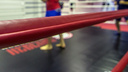 «Не развивали спорт»: московский исполком хочет «обезглавить» Самарскую федерацию бокса