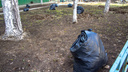 В Самаре служба благоустройства закупит мусорные мешки на 9 млн рублей