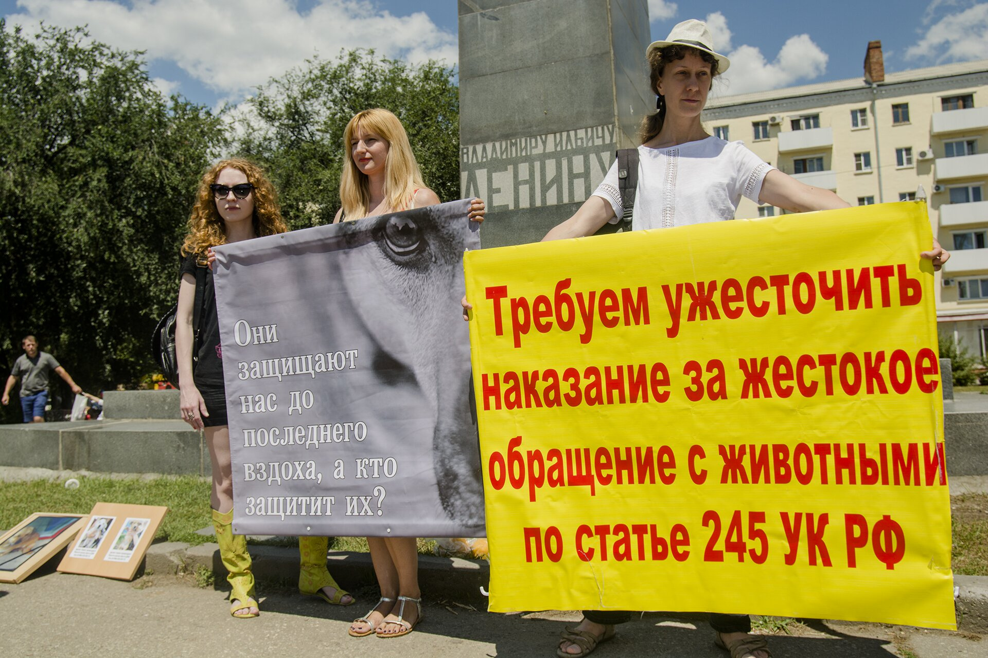 Ростовчане принесли с собой агитационные плакаты Ростовчане принесли с собой агитационные плакаты