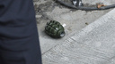 Пьяный житель Самарской области бросил в военнослужащих осколочную гранату