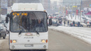 «Остановите у политеха»: общественный транспорт на Ново-Садовую вернут с 18 декабря