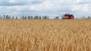 В Самарской области аграрии бьют рекорды советских времен по сбору зерна