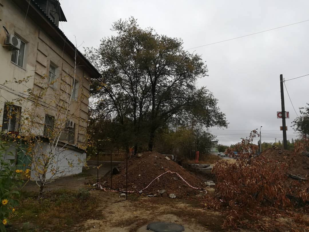 Волгоградским кладоискателям даже не пришлось работать лопатой, за них это сделали «Концессии» Волгоградским кладоискателям даже не пришлось работать лопатой, за них это сделали «Концессии»