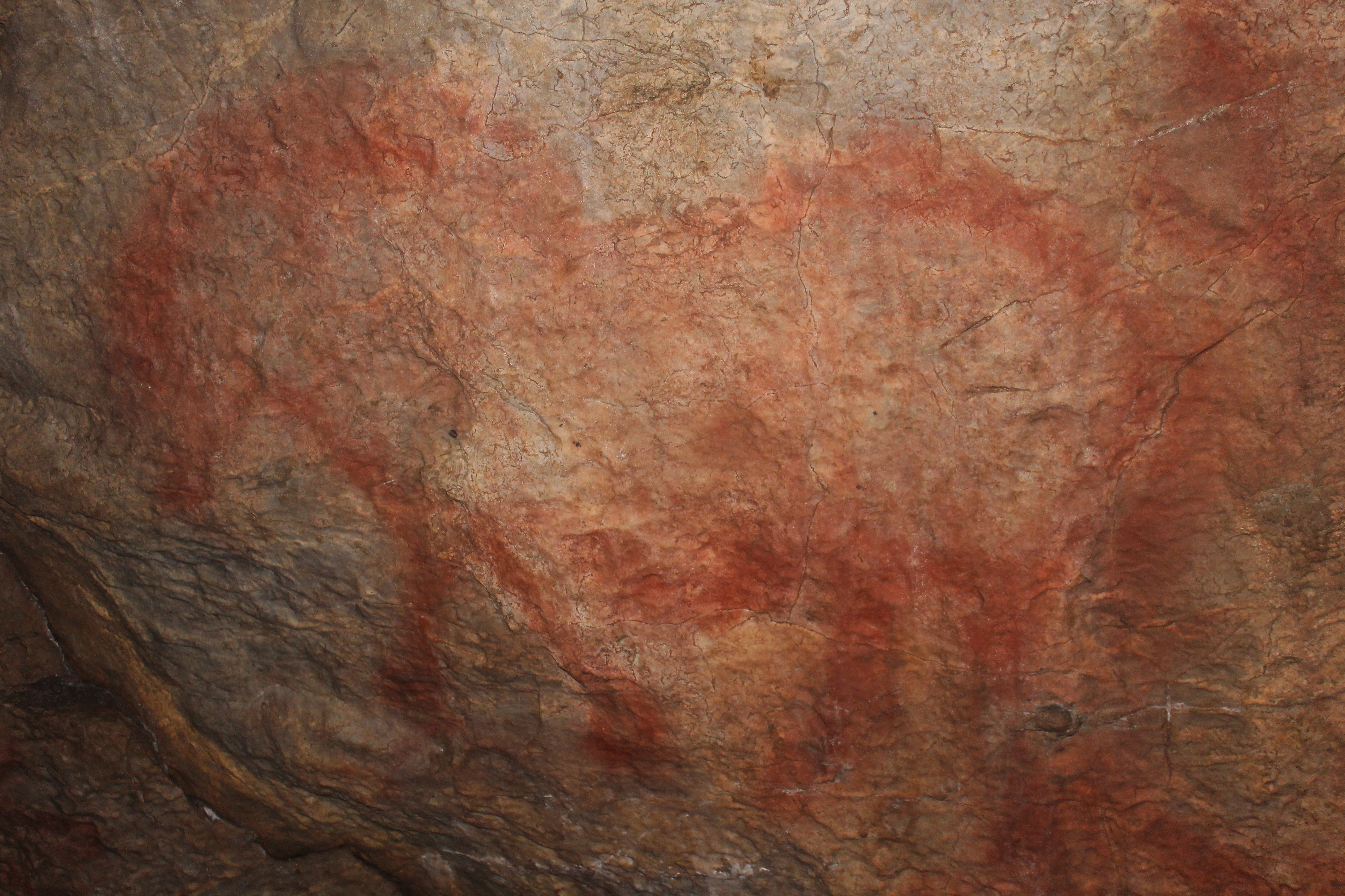Найденный внутри Каповой пещеры рисунок лошади в 1959 году дал старт исследованиям здесь настенных изображений