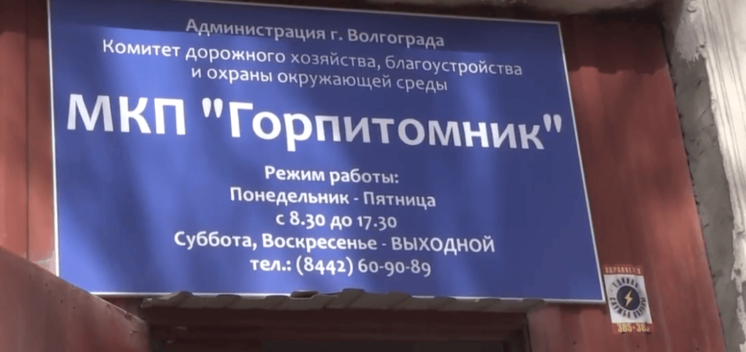 Сегодня дозвониться в питомник невозможно Сегодня дозвониться в питомник невозможно