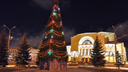 Стало известно, когда в Ярославле поставят самую главную новогоднюю ёлку