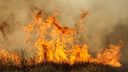 Под Волгоградом бушует новый крупный природный пожар
