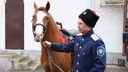 Колорит и безопасность: конные казаки будут охранять порядок в Ростове во время мундиаля