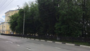 Власти обсудят с ярославцами снос чугунной ограды на центральном бульваре