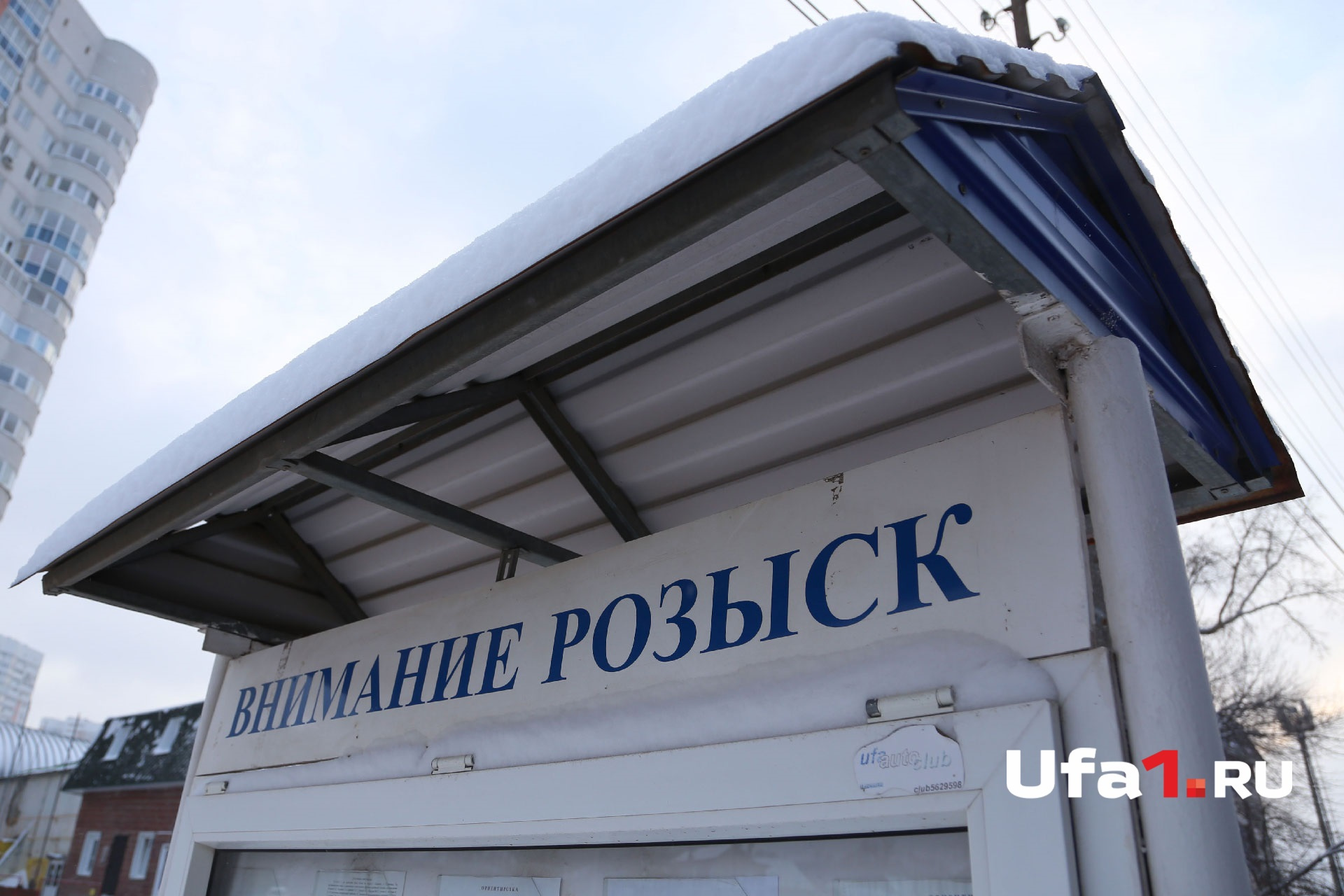 Поиски проходят постоянно: пропадают и взрослые, и дети Поиски проходят постоянно: пропадают и взрослые, и дети