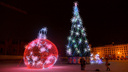 Волгоград отметит Новый год праздничным «Собака-шоу»