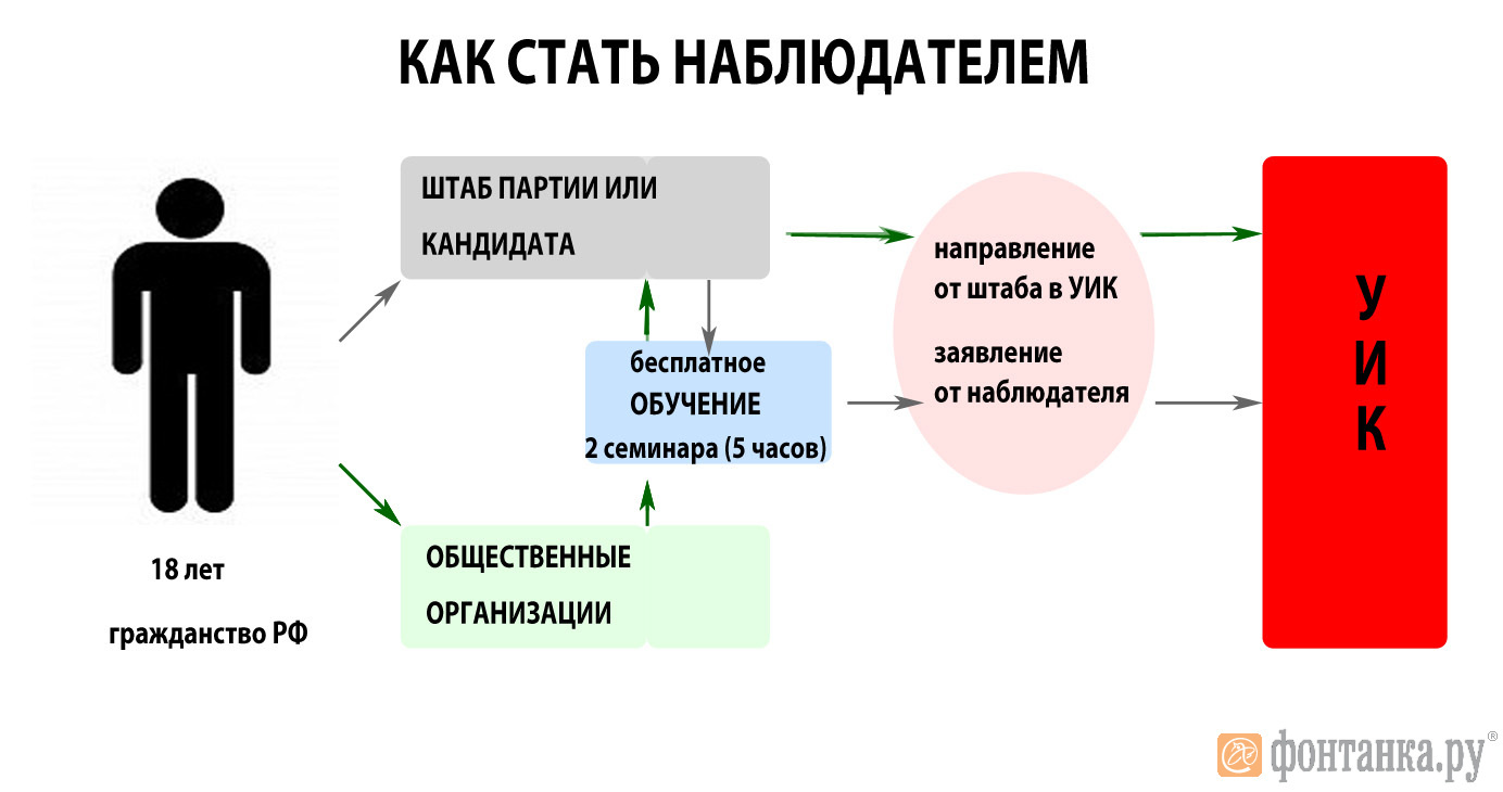 Наблюдатель над наблюдателем. Виды наблюдателей. Стань наблюдателем. Кто такой наблюдатель. Направление кандидата наблюдателей.