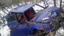Людей вырезали из машины: под Тольятти ВАЗ-21099 врезался в дерево
