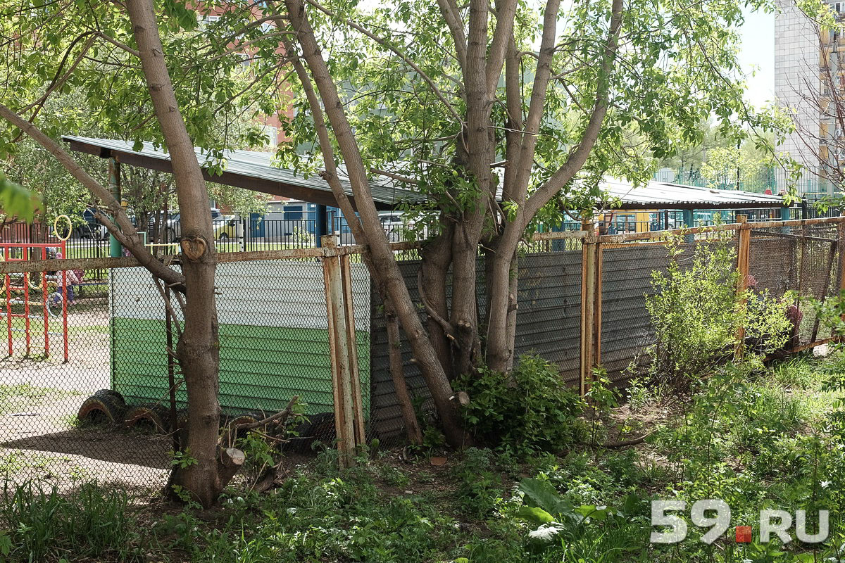 Если есть хоть какая-то возможность водить ребенка в детсад, путевку нужно брать Если есть хоть какая-то возможность водить ребенка в детсад, путевку нужно брать
