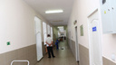 В Самарской области три человека заболели тропической лихорадкой