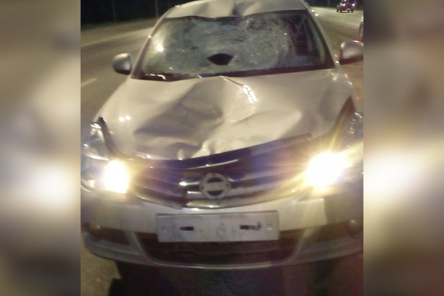 ds