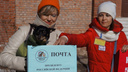 Стань моим голосом: зоозащитники Архангельска высказались за принятие закона о животных