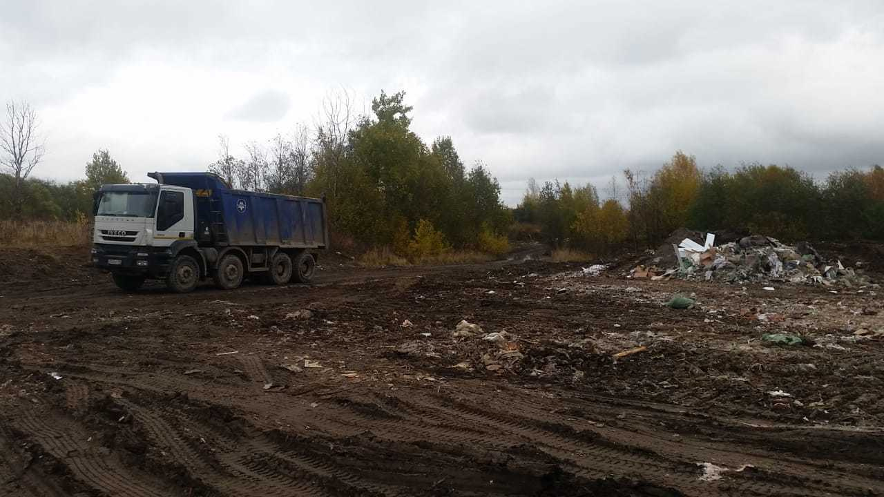 Фото:  комитет по природопользованию, охране окружающей среды и обеспечению экологической безопасности