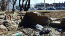 В Самарской области прокуратура требует убрать мусор с обочин дорог